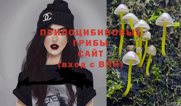 таблы Гусь-Хрустальный
