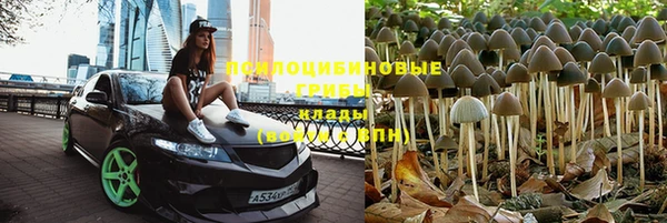 MESCALINE Гусев