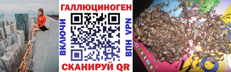МЕГА зеркало Мценск Псилоцибиновые грибы GOLDEN TEACHER